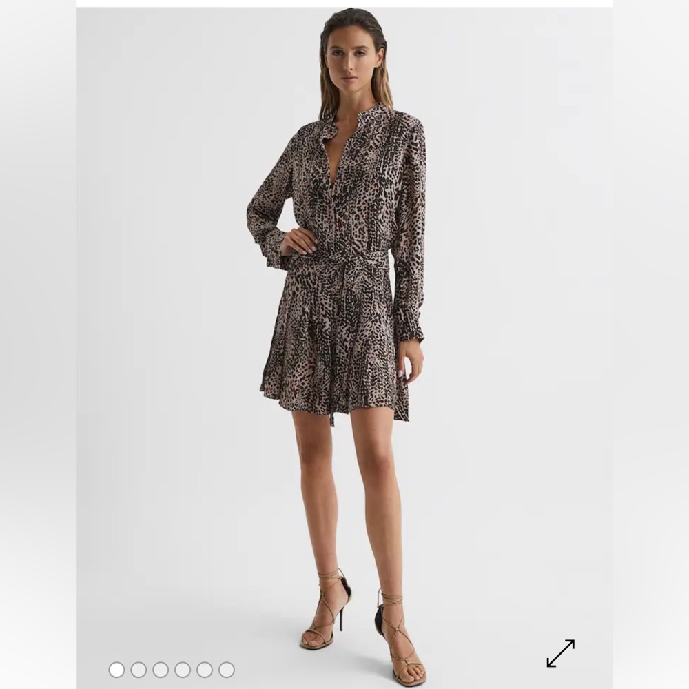 Reiss Britney Animal Print Long Sleeve Mini Dress in Brown